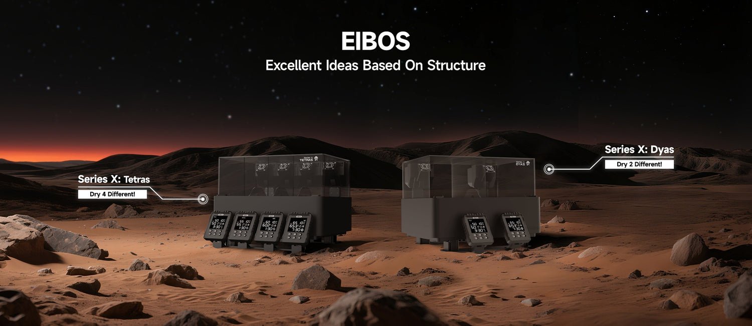 EIBOS Series X: Tetras and Dyas – A Comprehensive Introduction